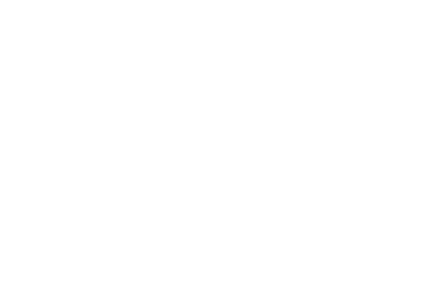 Santek Group