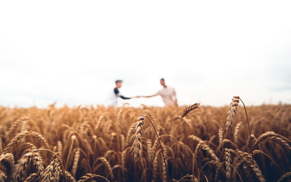 Agricultural products